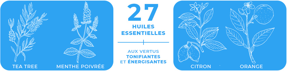 Capsule Energy Box aux 27 HE pour Diffuseur IRIS | E2 Essential Elements